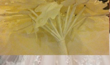 Türk erkekleri ve Rus Bayan’ların  Evlilikleri 2020'de Yine Revaçta