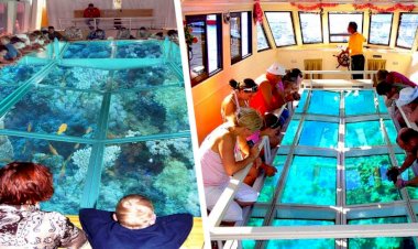 Hurghada turistler için dünyanın en büyük cam tabanına sahip bir tekne yaptı