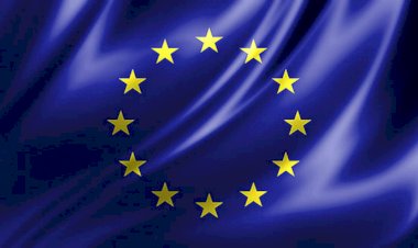 AB Parlamentosu temsili eylemlerin önünü açtı