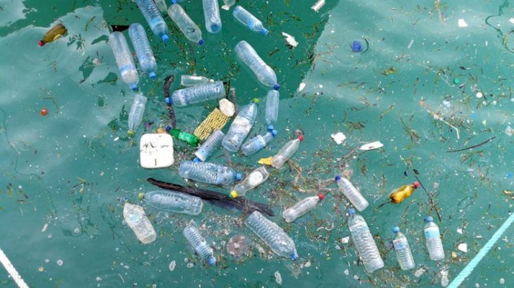 Küresel Turizm Plastikleri 46 üye 26 Yeni girişimci Karşıladı