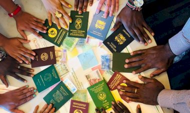 2020 Afrika Vize Açıklık Endeksi yükseliş eğilimi gösteriyor