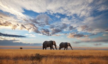 Kenya, Doğu Afrika'daki turistik mekanlar