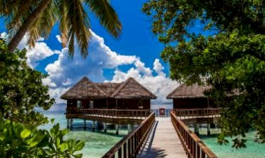 Yürütme Eğitim Programı Kırsal Kalkınma ve Kurtarma Odağı