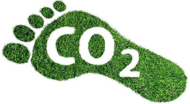 Hauser yüzde 110 CO2 telafisi ni duyurdu