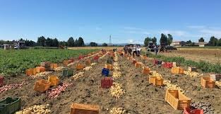 Çin'in eylemleri, iklim değişikliği konusunda küresel hırsı artırma taahhüdü