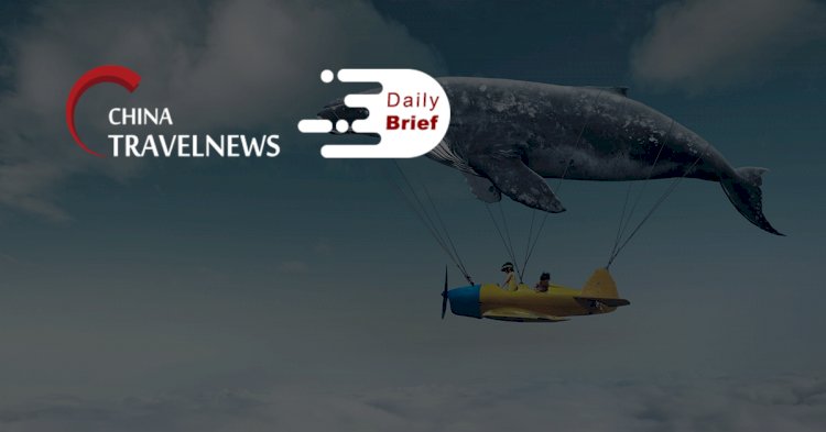 Çin daha sert uçuş kısıtlamaları uygular; Yeni yıl tatili rezervasyonları zirveye ulaştı