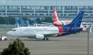 Endonezya'da Yolcu Uçağı Kazası