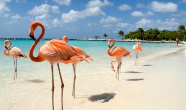 Şu Anda Seyahat Edebileceğiniz Uluslararası Destinasyonlar