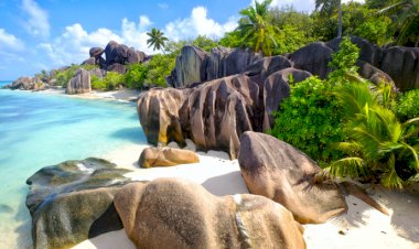 Barbados ve Seyşeller için seyahat uyarısı