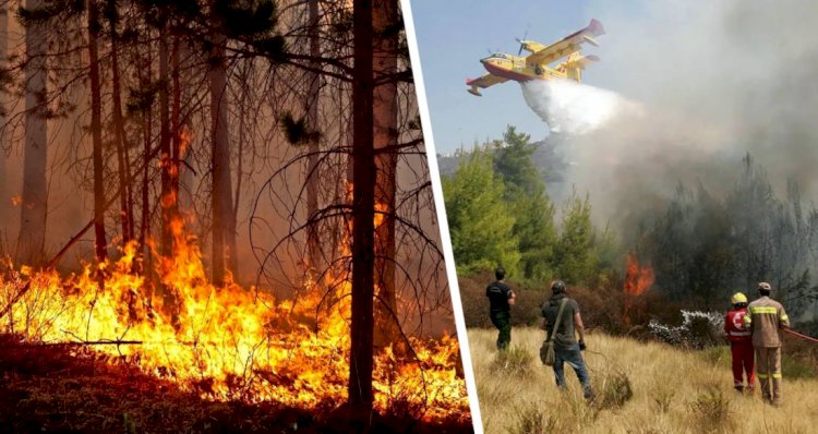 Soçi Milli Parkı yanıyor