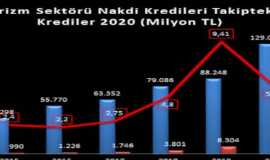 Pandemi Dönemi Banka Kredi Artışı Yüzde 46 Arttı, Batık Kredi Alacakları Yüzde 40 Azaldı