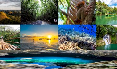 Ağaçlandırma ve Tabiatın Turizme Kazandırıldığı 9 Projenin Sonuçları