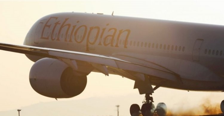 Etiyopya, Ortalama Zamanında Sektör Performansını Geride Bıraktı