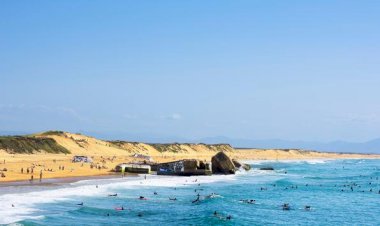 Avrupa Seyahatlerin Tekrardan Açılması İçin COVID-19 Sertifikalarını Onayladı