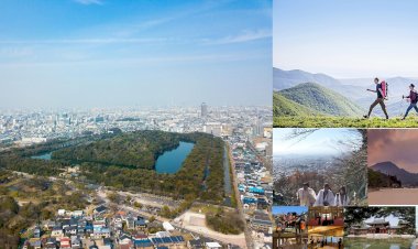 Japonya Sürdürülebilir Turizme, Duyarlı ve Evrensel Destinasyon Dedi