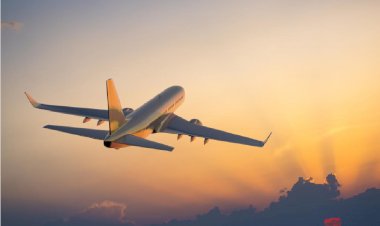 IATA 2020 Yılı Hava Trafiğinin İstatistiğini Yayınladı