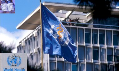 DSÖ, Sputnik V aşının Onay Sürecini Askıya Aldı