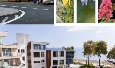 Rego-Bis 2022 yazını Sulu Promosyon İsmiyle satıyor