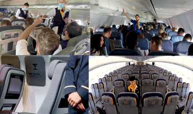 Turizm İyileştirme ve Dönüşüme Unwto ve Icao Havacılık Ortaklığı