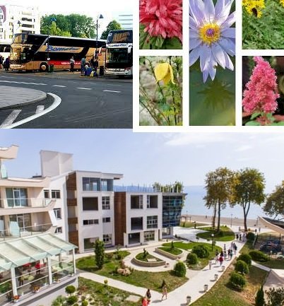 Rego-Bis 2022 yazını Sulu Promosyon İsmiyle satıyor