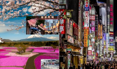 Japonya 8kasım Sonrası İş Seyahatinde Karantinayı Düşürecek 