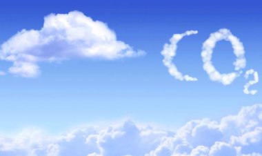 Tur Operatörleri Seyahat acentelerinden Daha Fazla Ümitli