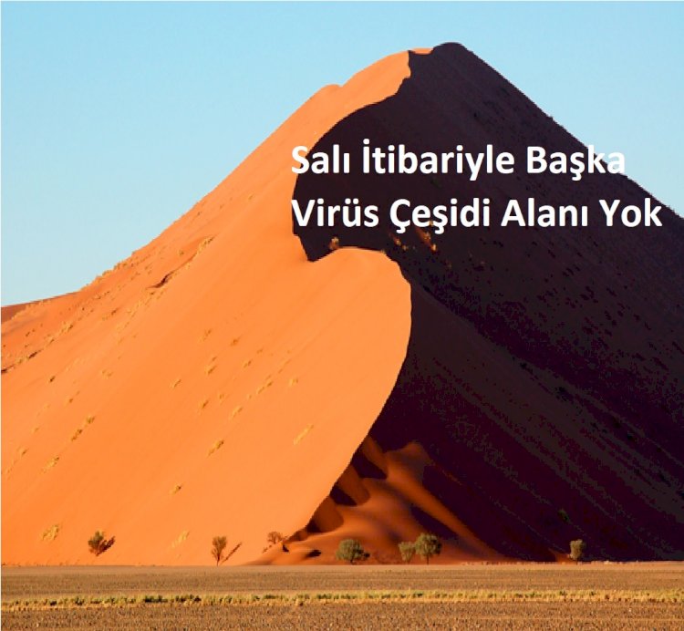 Salı İtibariyle Başka Virüs Çeşidi Alanı Yok