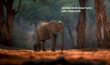 Zimbabve'de İlk Ulusal Turizm Uydu Hesabı Açıldı