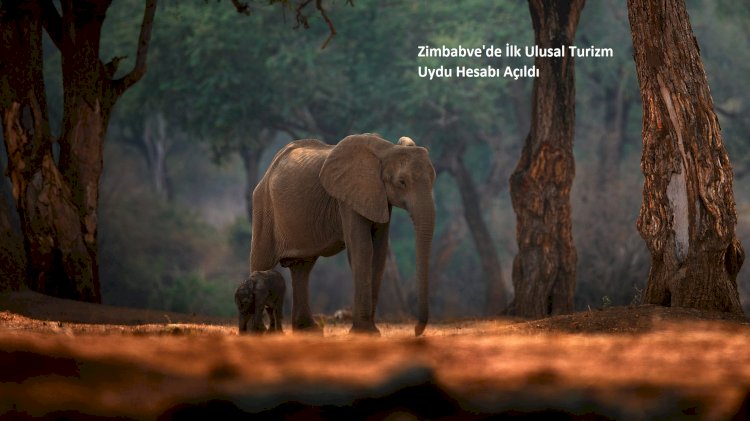 Zimbabve'de İlk Ulusal Turizm Uydu Hesabı Açıldı