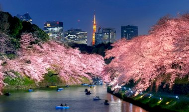 Japonya ve Singapur Pasaport Endeksinde 1 Numarayı Korudu