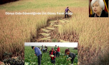 Dünya Gıda Güvenliğinde Üst Düzey Panel Atağı