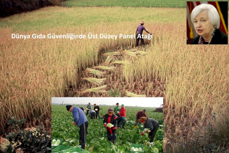 Dünya Gıda Güvenliğinde Üst Düzey Panel Atağı